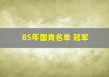 85年国青名单 冠军